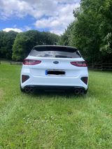 Kia cee'd / Ceed 1.6 T-GDI GT GT - Kia cee'd / Ceed: Weiß