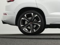 Cupra Ateca - Vorschau Bild 32