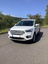 Ford Kuga 1,5 EcoBoost 4x2 110kW Titanium mit Extras - Ford Kuga: 2.5