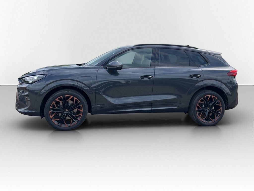 Cupra Terramar - Bild 10