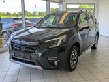 Subaru Forester 2.0ie Hybrid Platinum Pano Leder VOLL - Subaru Forester: Grün