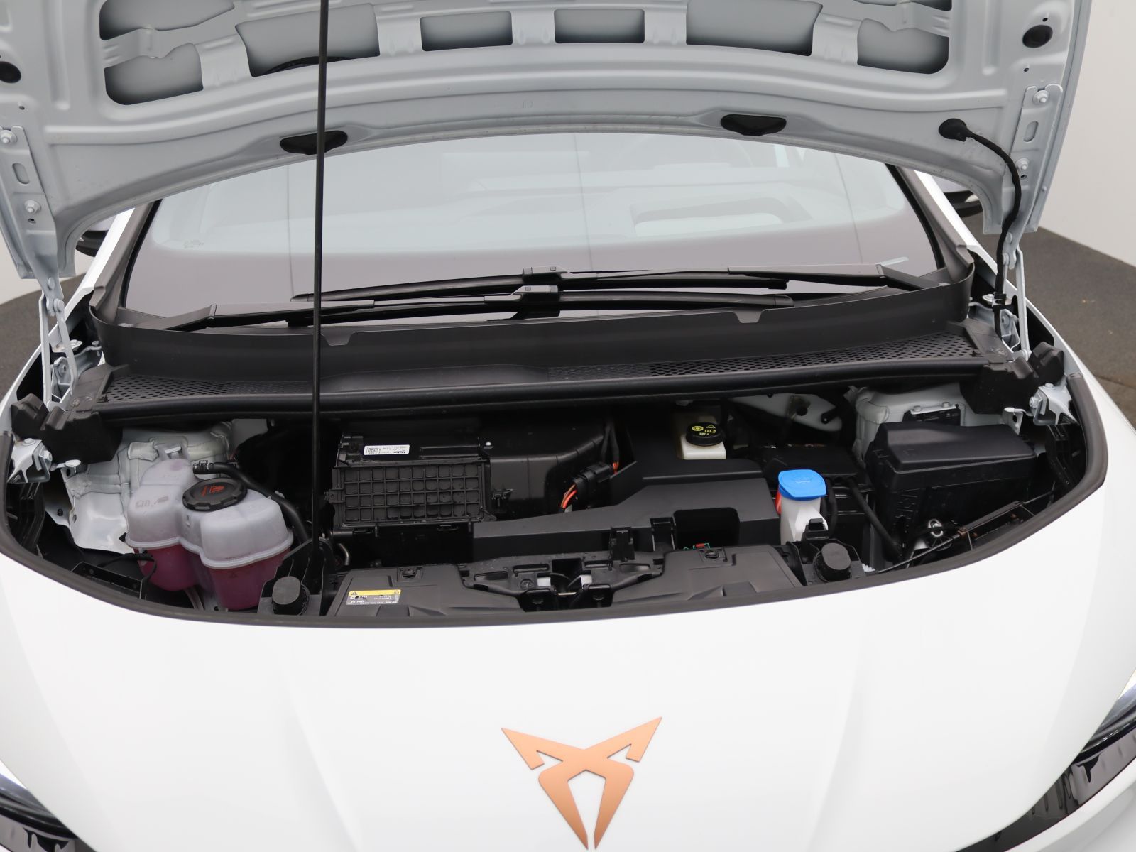 Cupra Born - Bild 19