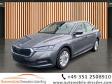 Skoda Octavia 1.0 TSI DSG Ambition*Einparkhilfe*LED - Skoda Octavia aus 2023