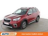 Subaru Forester 2.0 Comfort Aut.*NAV*LED*ACC*CAM*PDC*SH - Subaru Gebrauchtwagen in Frankfurt