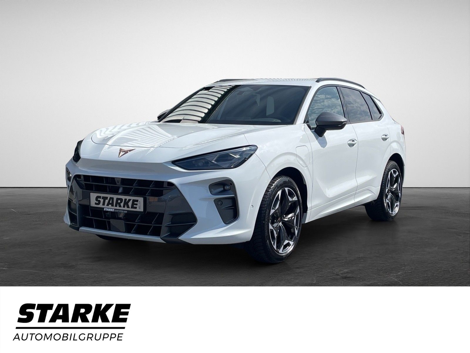 Cupra Terramar 1.5 e-Hybrid DSG  HeadUp Navi LED Kamer