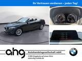 BMW 218i Cabrio Advantage Navi Business AHK PDC LM - BMW 218: I