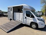 Peugeot Equi-Trek Sonic SW35P (2) HORSE TRUCK / PAARDENC - Tier-/Pferdetransport Trek equi