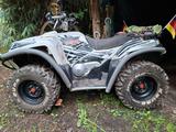 Herkules Adly conquest  600 - HERKULES QUAD