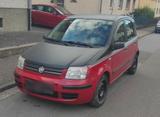 Fiat Panda winter Auto Anfänger Auto LPG G... - Fiat Panda Gebrauchtwagen in Saarbrücken