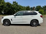 BMW X5 xDrive30d - - BMW X5 in Köln