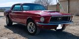 Ford Mustang 68 - gebrauchte Ford Mustang aus dem Jahr 1968