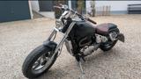 Suzuki VZ 800 Custom  - Offers
