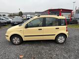 Fiat Panda 1.2 8V Dynamic/TÜV NEU - gebrauchte Fiat Panda aus dem Jahr 2006