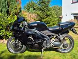 Triumph Erstbesitz Daytona 955 i in Bestzustand - TRIUMPH 955 DAYTONA