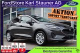 Ford Fiesta Titanium 1.0 EcoB LED 4,99% Finanzierung* - Finanzierung gebraucht