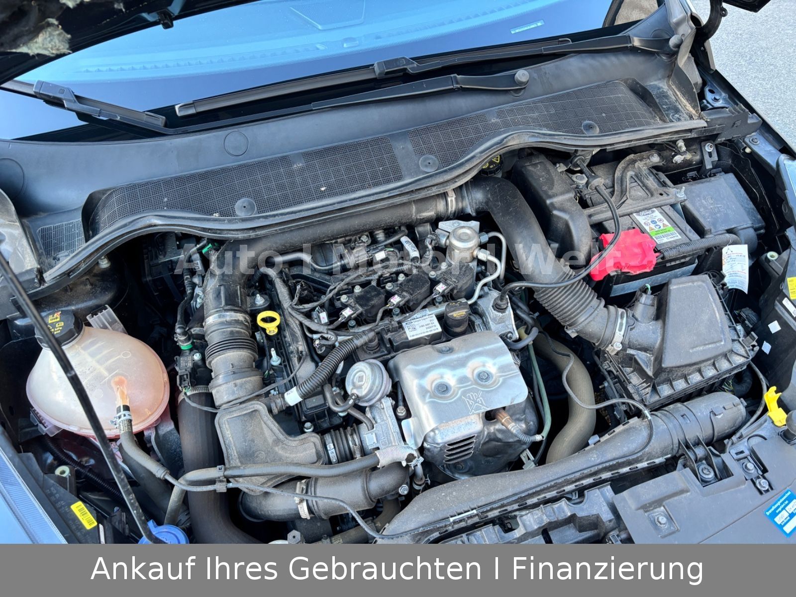 Fahrzeugabbildung Ford Fiesta Vignale 1.HD ACC/B&O/LED/R-CAM/SHZ/LEDER