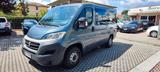 Fiat Ducato 30 2.3 MJT 150CV PC-TN 9 Posti - Fiat Ducato: 15