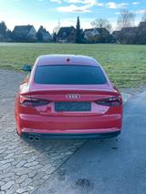 Audi A5 3.0 TDI tiptronic quattro Sportback  - Audi A5 mit Diesel-Antrieb: Limousine, 3.0