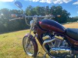 Suzuki Intruder  - Angebote