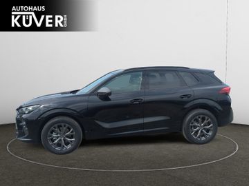 Cupra Terramar - 3
