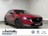Mazda CX-30 Homura 4x2 2.0 SKYACTIV-X-M Hybrid BOSE - Mazda CX-30 aus 2023