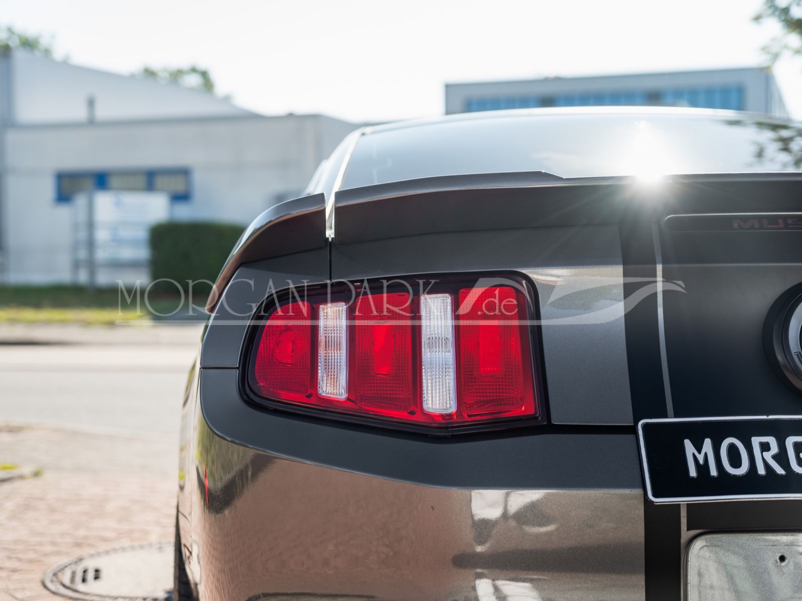Fahrzeugabbildung Ford Mustang GT *Neidfaktor+480PS*