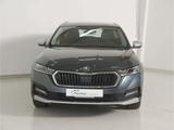 Skoda Octavia Combi 2.0 TDI Scout 4x4 DSG AHK/Matrix - Skoda Octavia: Scout TDI