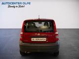 Fiat Panda 1.1 8V Active **ERST 38TKM-TÜV NEU** - Fiat Panda: Active