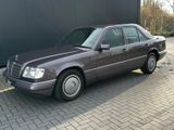 Mercedes-Benz E 250/124 - Mercedes-Benz E 250 in Bielefeld