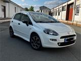 Fiat Punto 1.4 8V Start&Stopp S  - Fiat Punto Start mit Benzin-Antrieb