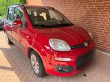 Fiat Panda Typ 312 - Fiat Panda 312