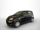 Fiat Panda Hybrid 1.0 GSE 51kw (70PS) - Fiat Panda Tageszulassungen
