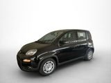 Fiat Panda Hybrid 1.0 GSE 51kw (70PS) - Fiat Panda Tageszulassungen