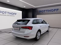 Skoda Octavia - Vorschau Bild 6
