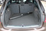 Audi A4 Avant Ambiente quattro Leder Xenon-Plus LED - Audi A4: Braun, Leder
