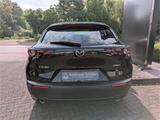 Mazda CX-30 Selection HUD Navi Memory Sitze Soundsyste - Mazda CX-30 Gebrauchtwagen in Köln