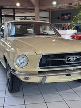 Ford Ford Mustang, Klassiker im Top Zustand! - Ford aus 1967