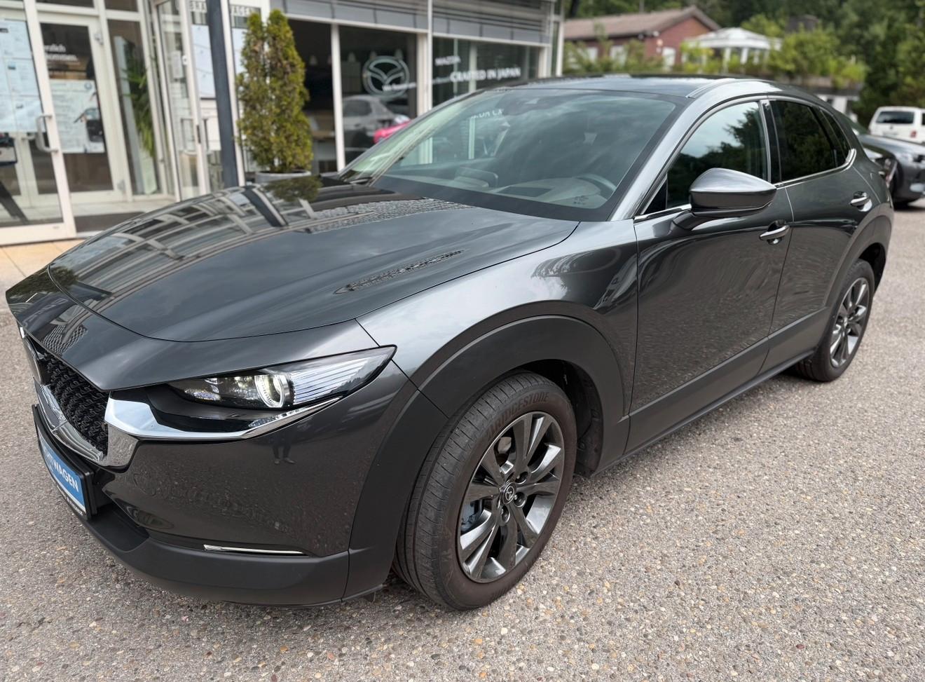 Mazda CX-30,Sele,AWD,Des.P+Pre.P.Leder-S+18-B,AHK
