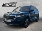 Skoda Kodiaq Tour 2.0 TDI DSG 4X4 Panodach Kamera - Skoda Kodiaq in Köln