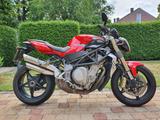 MV Agusta Brutale 989 R - Offers matching your search criteria