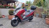 Honda Forza 300 - HONDA FORZA 300