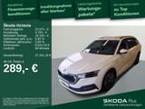 Skoda Octavia Combi 2.0 TDI *DSG*APP*RFK*LED*SHZ* - Skoda Octavia mit Diesel-Antrieb: Kombi, Automatik