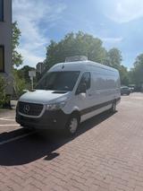 Mercedes-Benz Sprinter 317 CDI L3H2 Kühlfahrzeug | Carrier Cit
