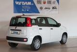 Fiat Panda Pandina Urban 1.0 Hybrid *CityPaket* - Fiat Panda: 1.1