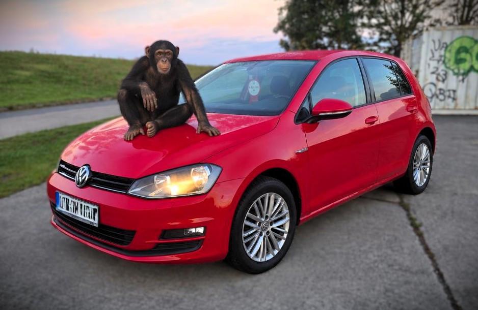 Volkswagen Golf 1.2 TSI CUP - 2.Hand - Insp. + Tüv neu