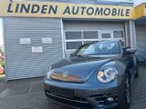 Volkswagen Beetle Design BMT/Start-Stopp - Volkswagen Beetle aus 2018