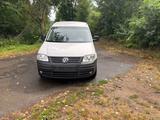 Volkswagen Caddy Maxi Life 1.9 TDI 77kW Maxi - Volkswagen Caddy aus 2010: Maxi