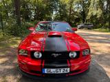 Ford Mustang GT - V8 - TOP ZUSTAND - Ford Mustang: Rot