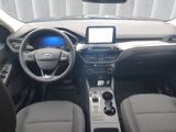 Ford Kuga Titanium 2.5 FHEV 4x4 Aut. | AHK | GJR | RF - Ford Kuga FHEV Gebrauchtwagen