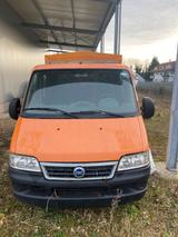 Fiat Ducato 244 D - Fiat Ducato in Freiburg